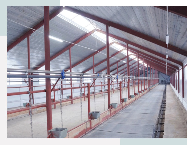 Строительство коровников в Чапаевске от 613 руб.