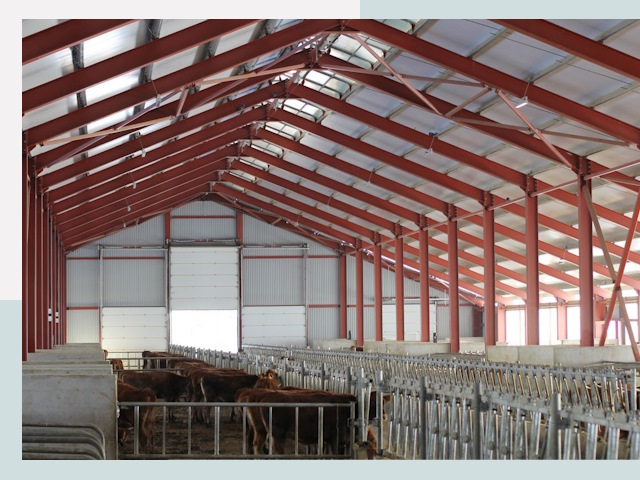 Строительство коровников в Чапаевске