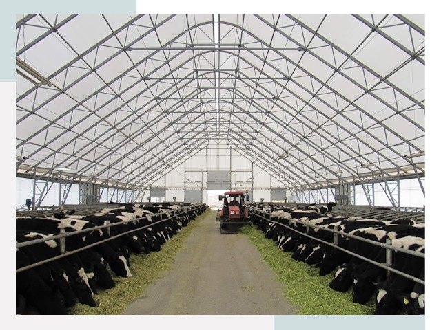 Тентовые коровники в Чапаевске от 613 руб. - Надежно и доступно